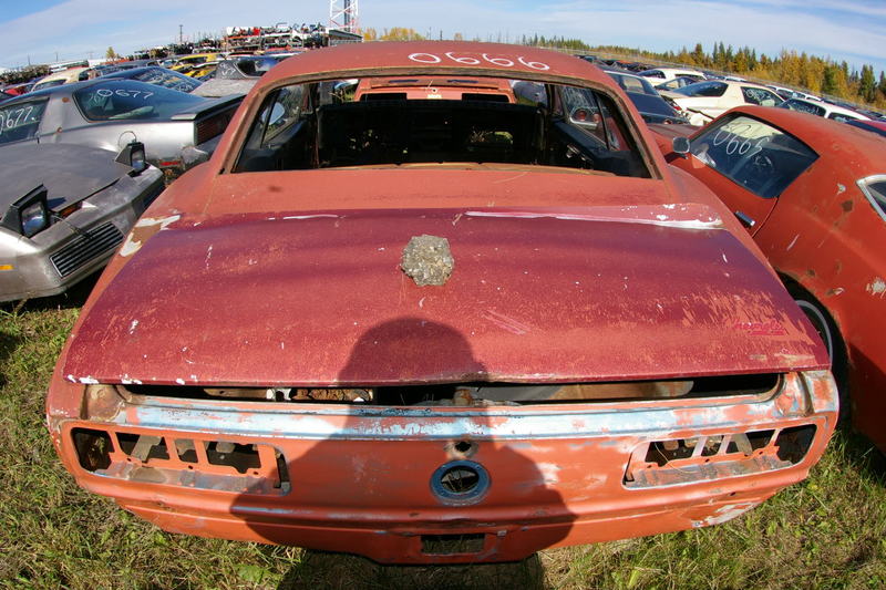 David T's Car Inventory