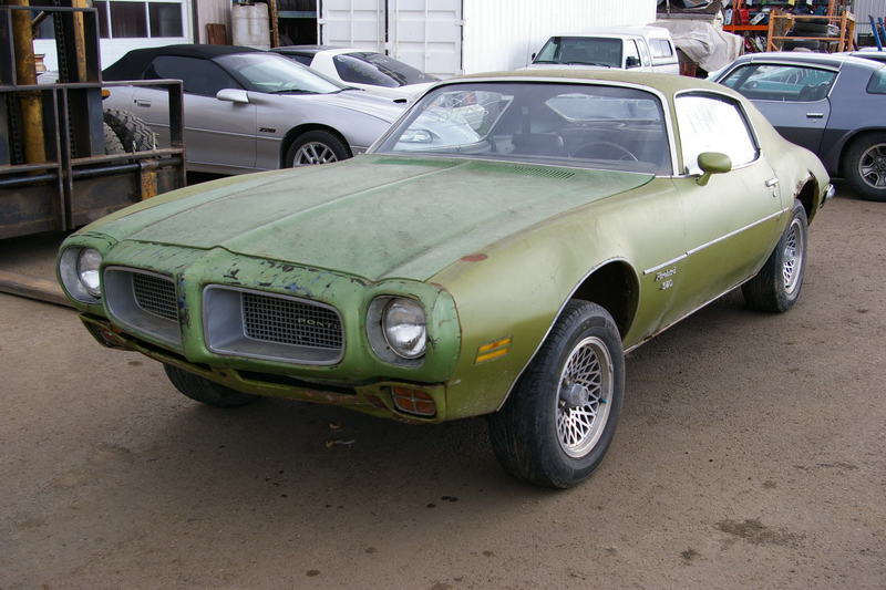 David T's Car Inventory
